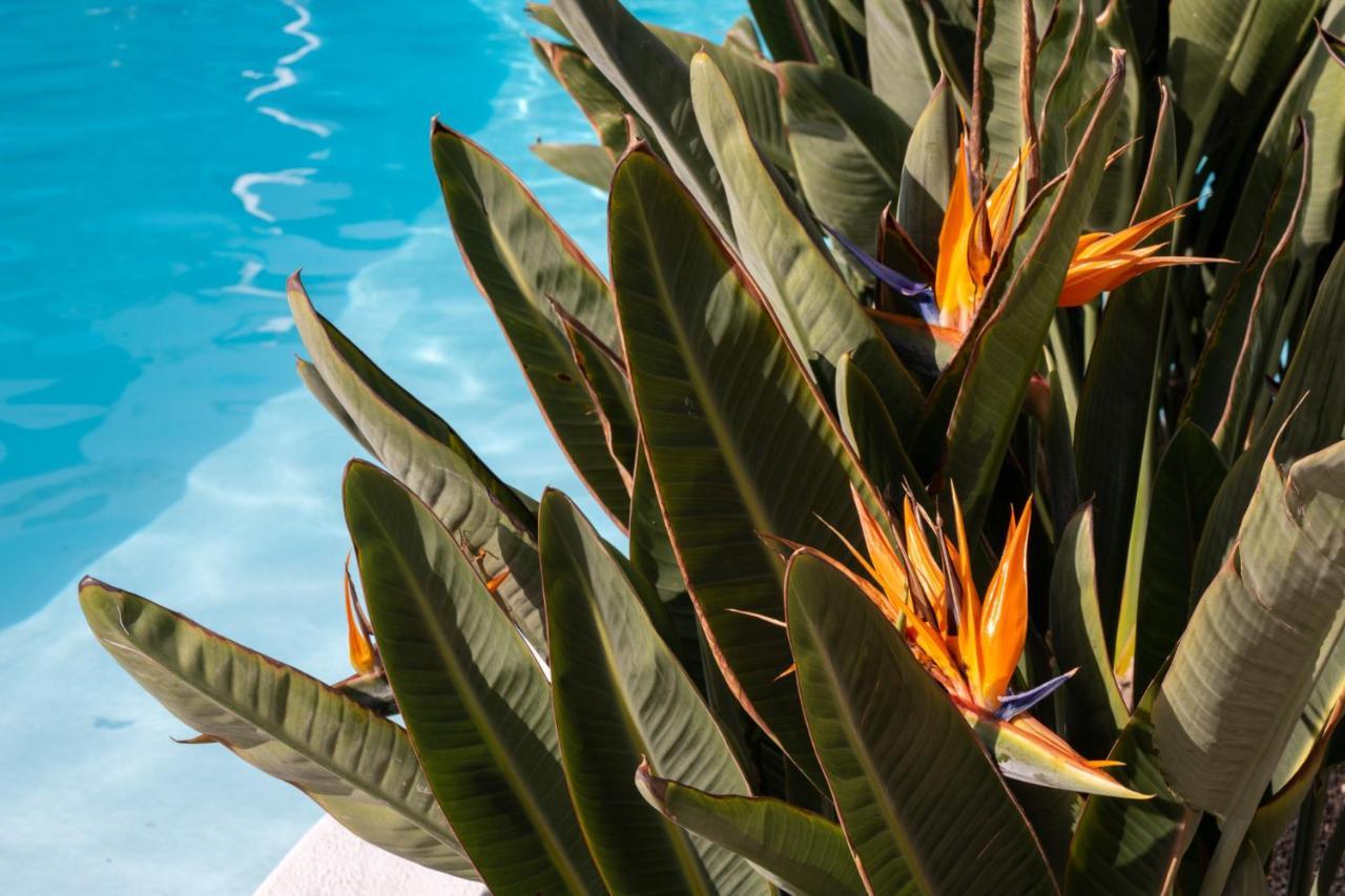 Hotel Nazaret Mansion Costa Teguise Exteriér fotografie